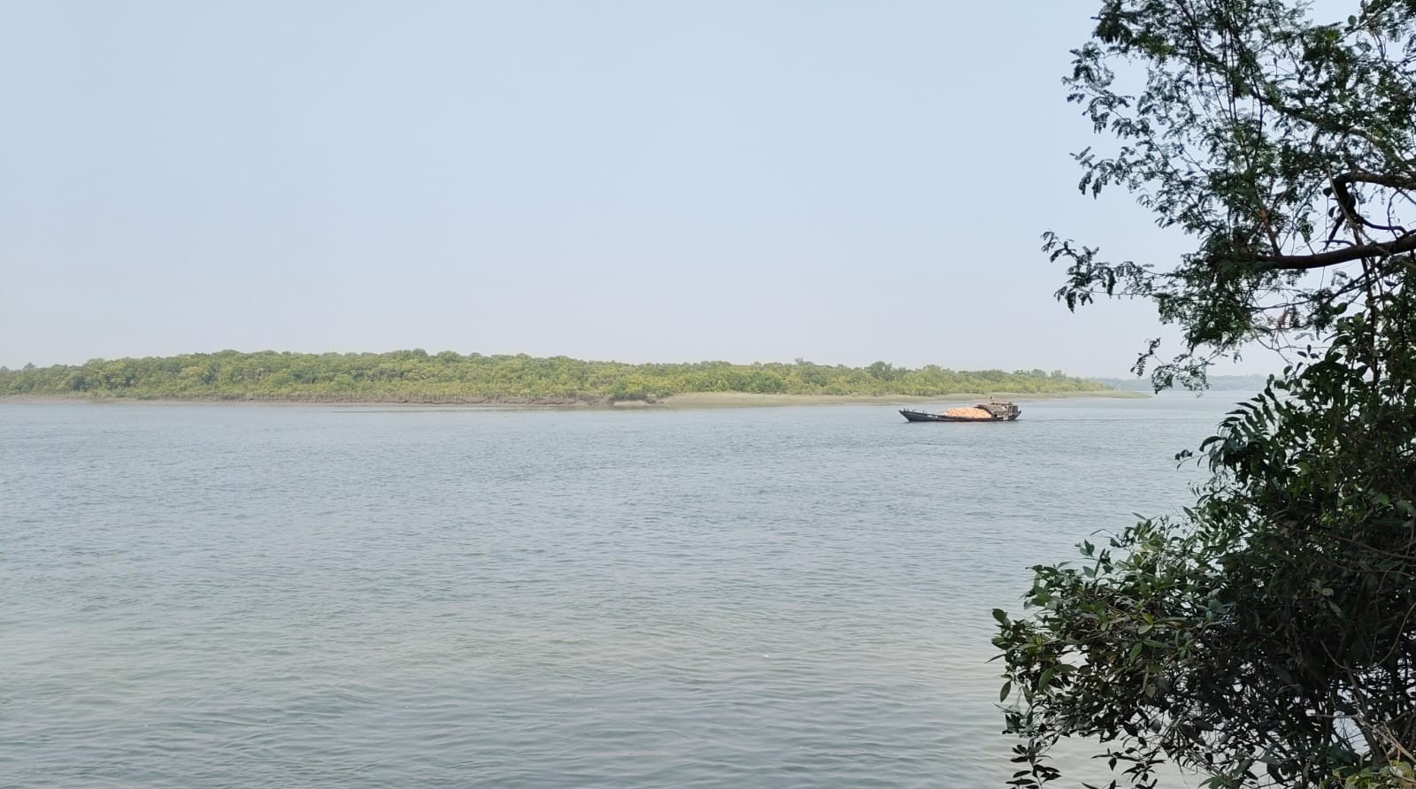 Mangrove island across a wide Sundarban river in daylight