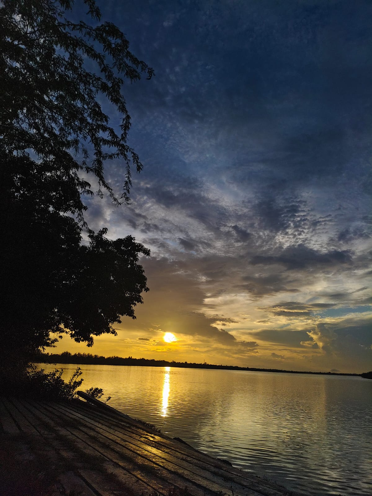 Sun setting behind trees on the riverbank