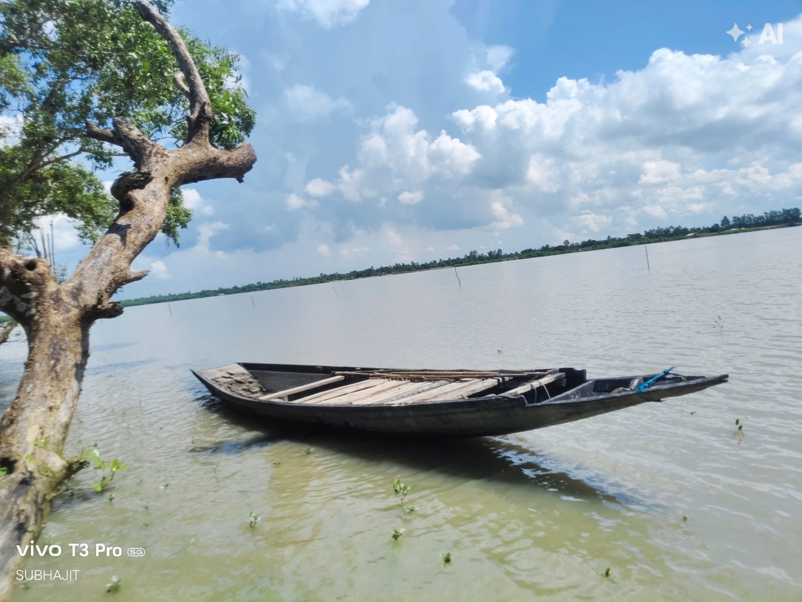 Pakhiralay, Sundarban